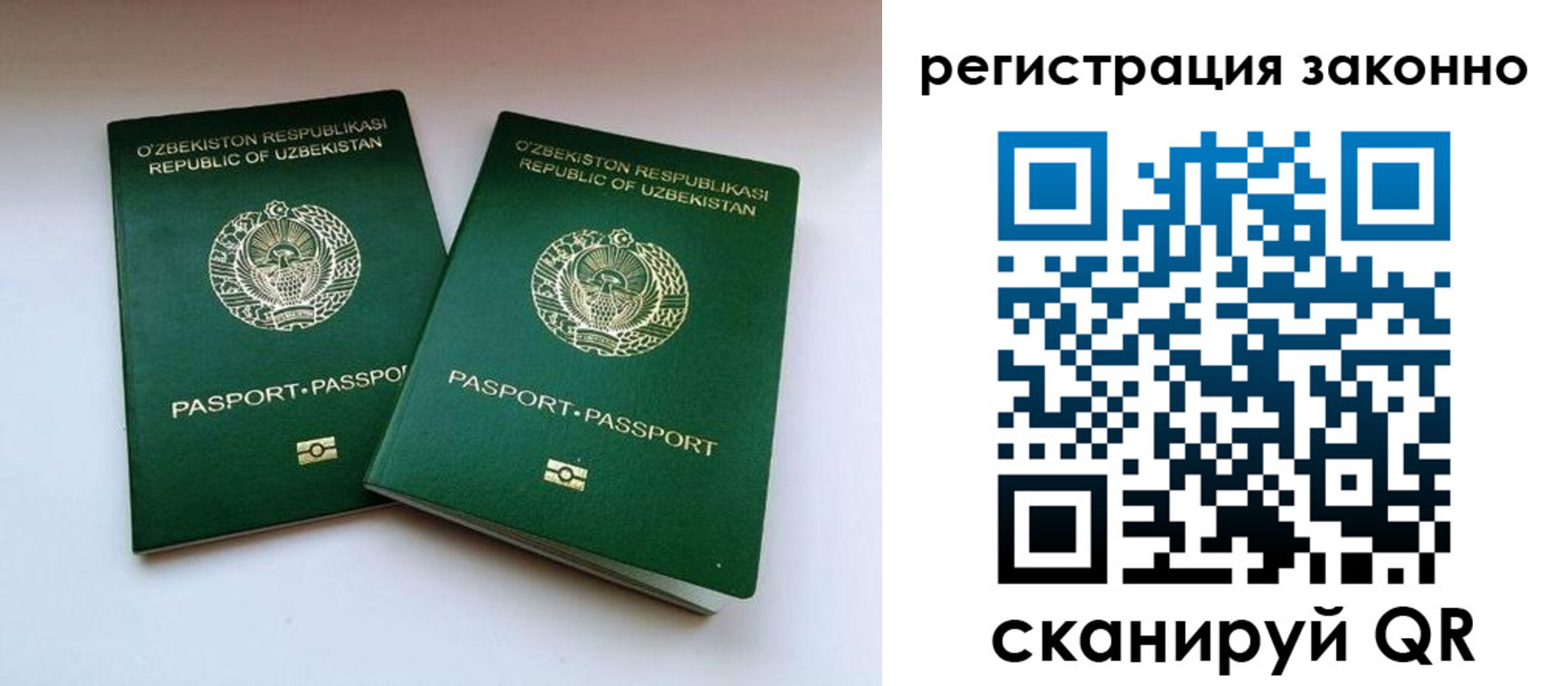 прописка гарантия в Гатчине